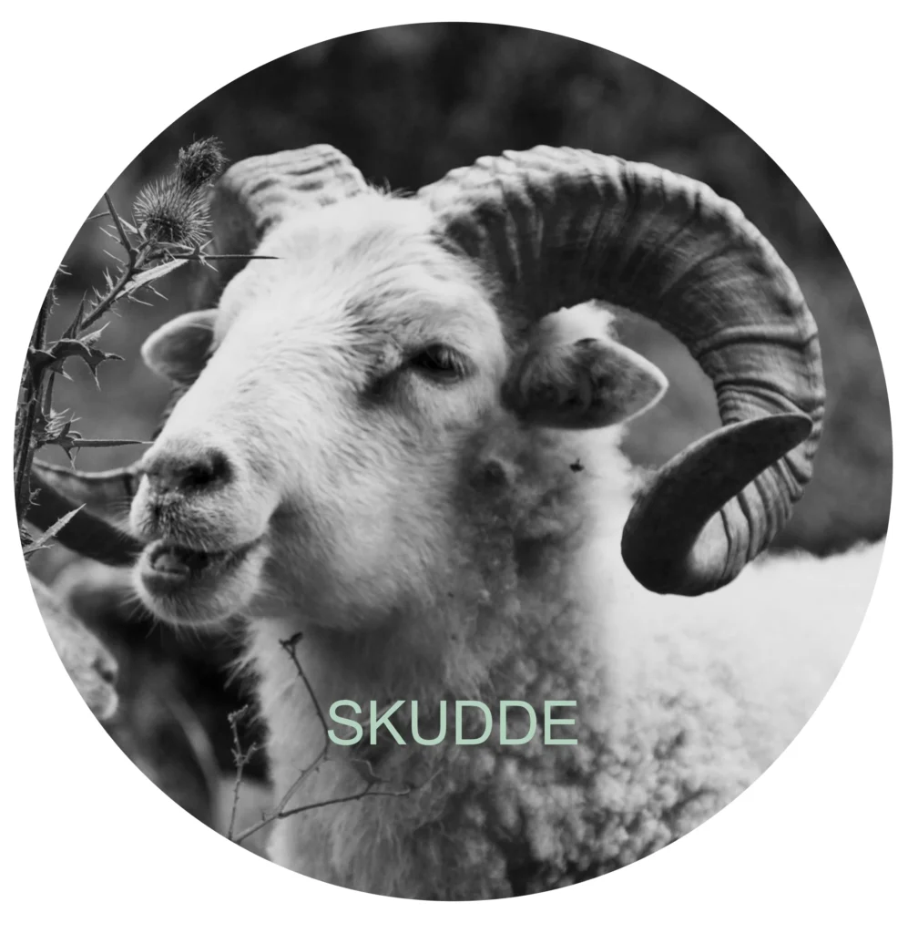 230209 Skudde