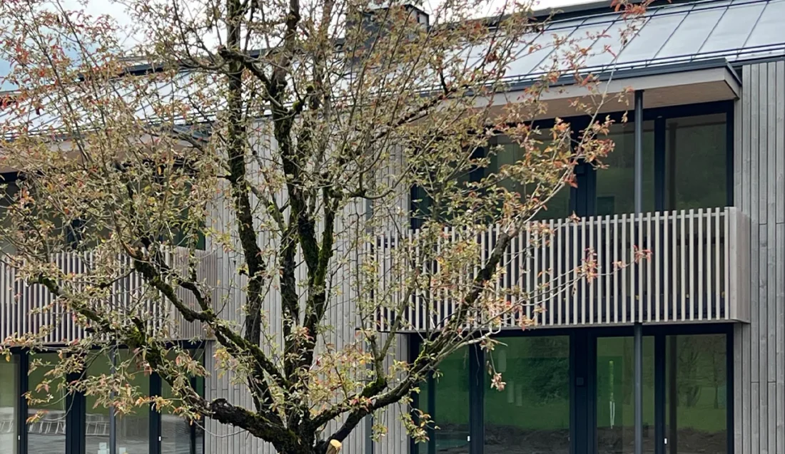 17_das-graue-schaf_ferien-appartements_bad-kleinkirchheim_frontansicht_holzfassade_herbst